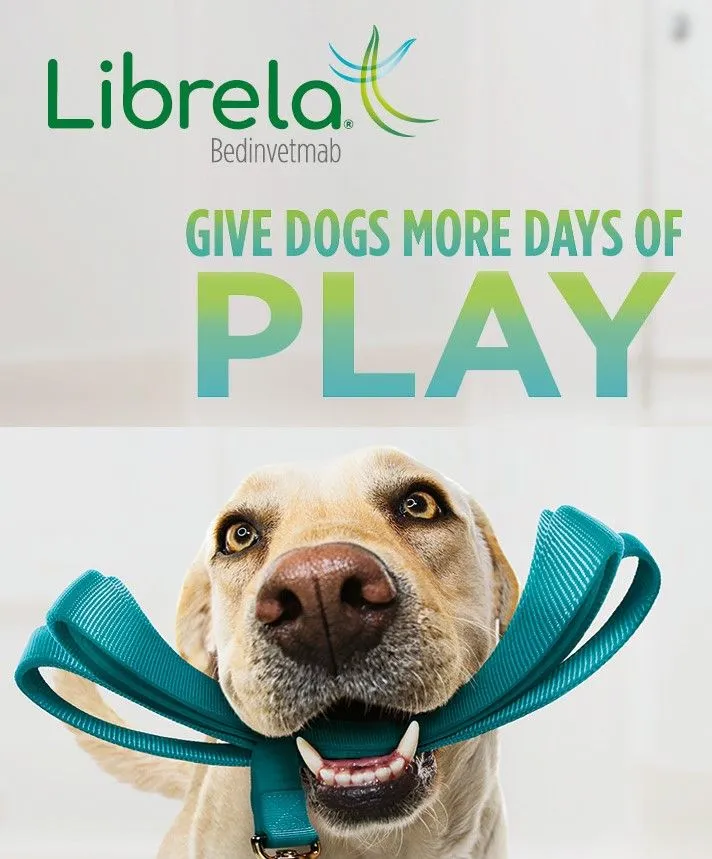 Librela Bannervertical Librela Bannervertical