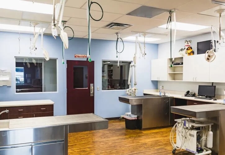 Treatment Room 