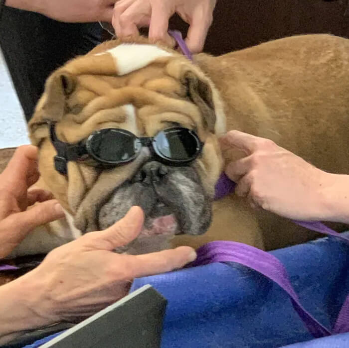 Therapeutic Laser 